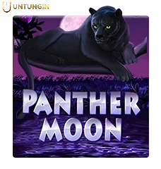 RTP Slot Joker Gaming panther moon