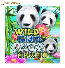 RTP Slot Joker Gaming wild giant panda