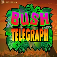 RTP Slot Microgaming Bush Telegraph