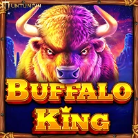 RTP Slot Pragmatic buffalo king