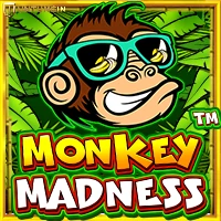 RTP Slot Pragmatic monkey madness